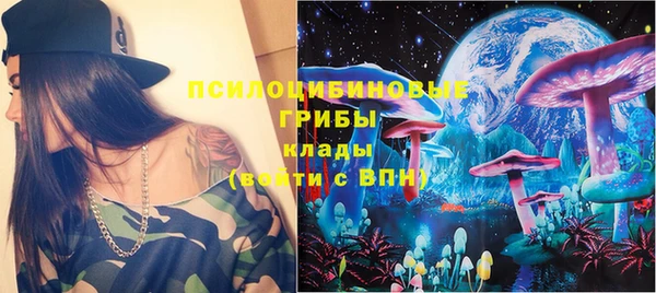 трава Нязепетровск