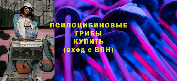 соль ск Алексин