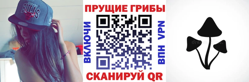 Галлюциногенные грибы Psilocybe  ОМГ ОМГ   Лобня  наркота 